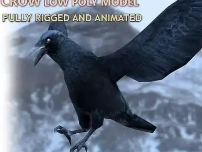 Crow Rigged and Animated Low-poly 3D model