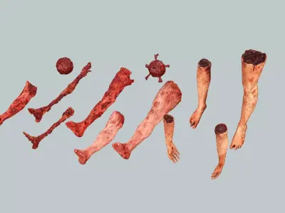 Horror Assets Human Corpse Body Part Collection X5 Pack 3D Model Low-poly 3D model