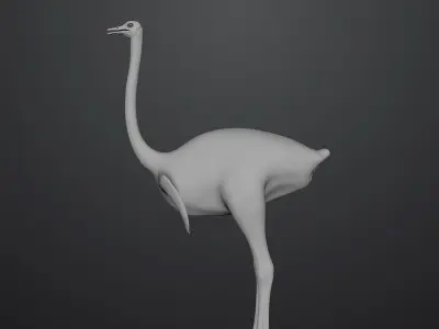 3D model of Ostrich 3D model
