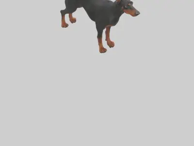 Doberman Pinscher alert model 3D model
