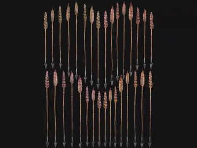 Medieval Arrow Arrows Crossbow Bolt Pack Set Low-poly 3D model