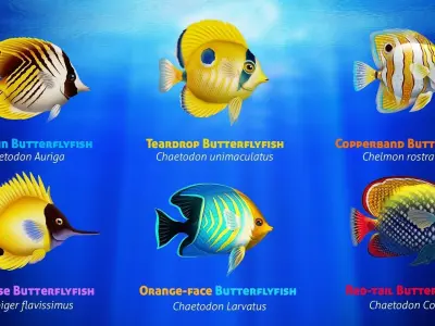 Cartoon Butterflyfish  Low-poly 3D model
