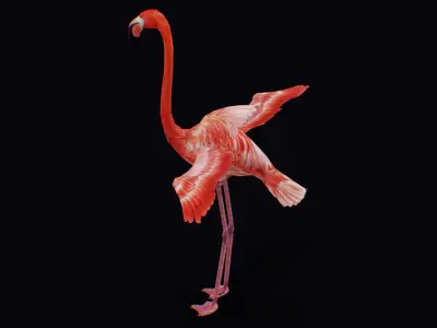 Flamingo American Caribbean Pink Bird Wild Exotic Animal  Low-poly 3D model