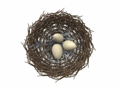 Bird nest v1 3D model