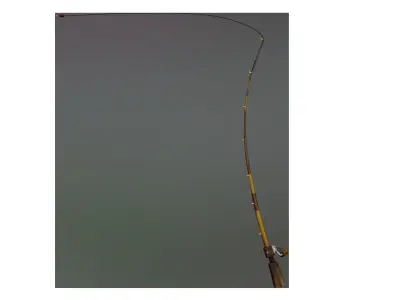 fishing rod 3ds max rig 3D model