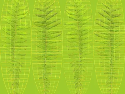 Ferns 01-07 3D model
