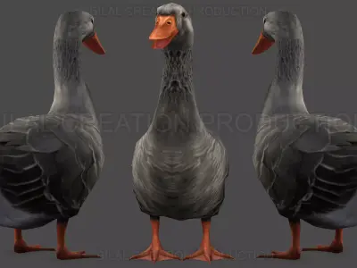 DUCK GRAY ANIMATED Low-poly 3D model