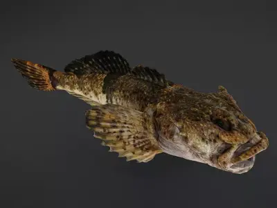Realistic Freshwater Sculpin Animated 3D model