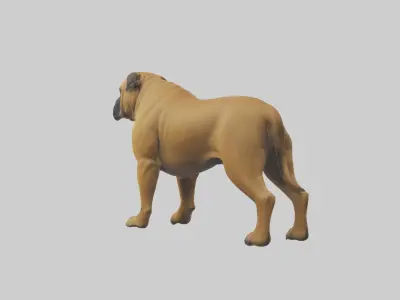 Bull Mastiff guarding model Low-poly 3D model