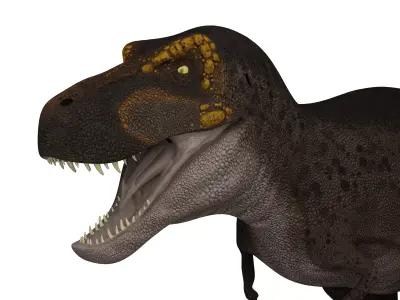 Tyrannosaurus rex  Low-poly 3D model