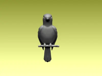 jay bird 3D model