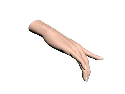 Female hand 001 3D model