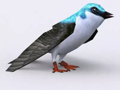 3DRT - Swallow Low-poly 3D model