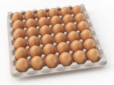 Egg Carton 3D Model purchase