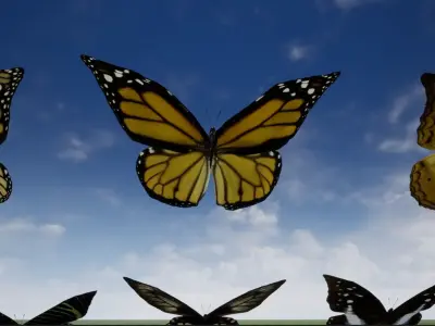 4K Butterflies rigged and animated Low-poly 3D model