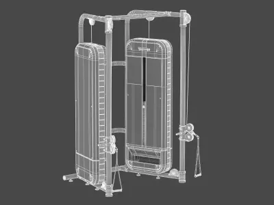 Technogym Dual Adjustable Pulley Fitness 3D model