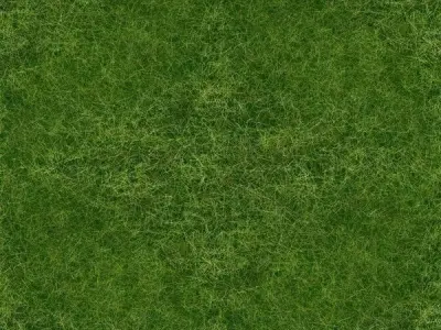 0A Cutting-Edge Realistic 3D Grass Model Low-poly 3D model