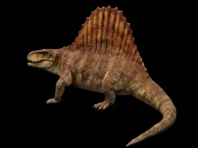 Dimetrodon - Prehistoric Synapsid Low-poly 3D model