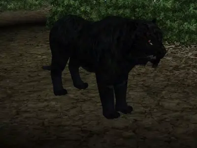 Black Tiger 3D model