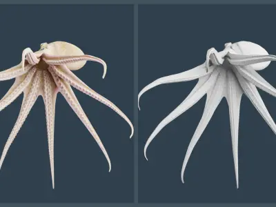 Animated California Two-Spot Octopus Low-poly 3D model