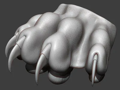 Cat Paw Highpoly Sculpt 3D model