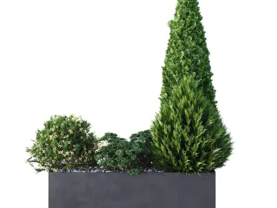 HQ Tree and bush garden box outdoor VOL 04 Free 3D model