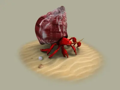 Hermit Crab animal shell crustacean nature perlatus sand 3D model