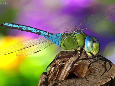 Rigged Flying Insects Collection 3 for Maya 3D model