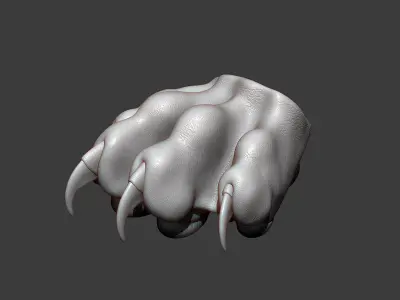 Cat Paw Highpoly Sculpt 3D model