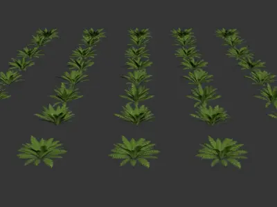 Ferns Dryopteris 01-08 with LODs 3D model