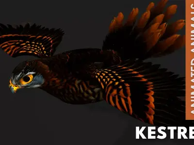 Kestrel B9 Free 3D model