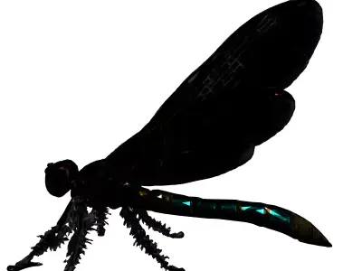 Realistic Dragonfly 3D Model Low-poly 3D model