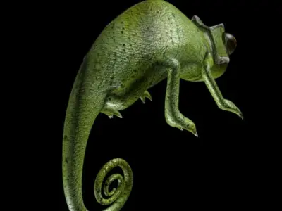 Chameleon Low-poly 3D model