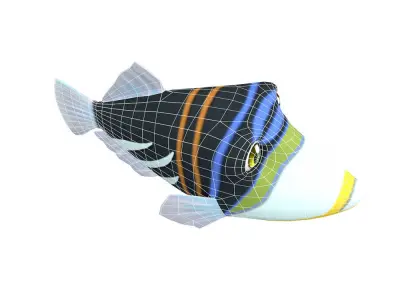 Picasso Trigger Fish Cartoon Animated Low-poly 3D model