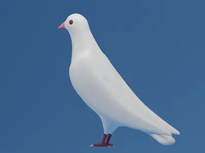 Cartoon Cute Pigeon Dove Low-poly 3D model
