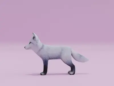 Artic Fox Light grey White Low-poly 3D model