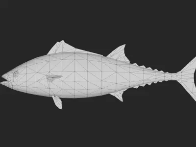 Bonito Low-poly 3D model