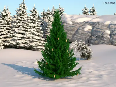 Coniferous Spruce Tree with Cones Green 3D model