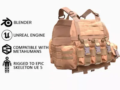 Plate Carrier 18 - All MH Bodies and UE5 Skeletons - Rigged Low-poly 3D model