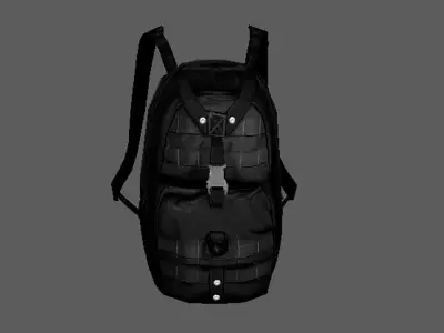 Parashoot bags Low-poly 3D model
