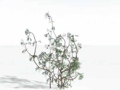 EVERYPlant Baiera 1 --14 Models-- 3D model