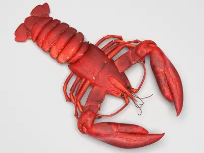 Lobster 3D model