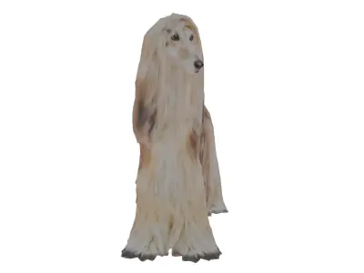 Afghan hound Low-poly 3D model