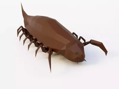 Woodlouse Bug 3d model  Low-poly 3D model