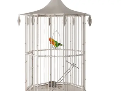 Cage with lovebirds 3D model
