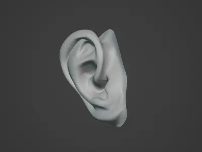 Stylized Ear Low Poly 3D model