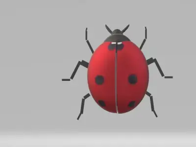 Two models of ladybugs Low-poly 3D model