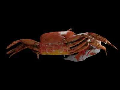 Crab Low Poly with PBR Textures Low-poly 3D model