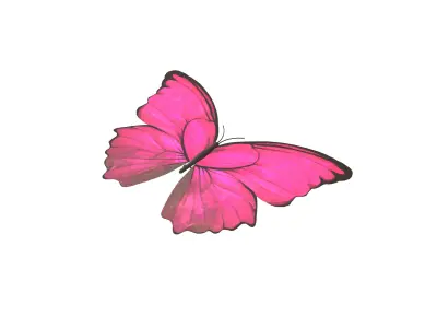 Butterfly v1 002 Low-poly 3D model