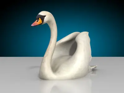 Swan - Swim and Walk 3D model